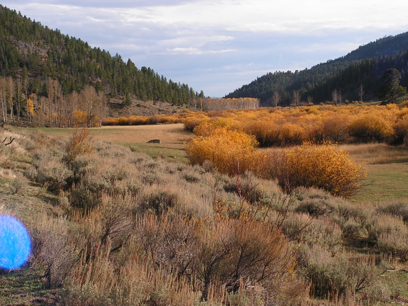 Fall Colors 2