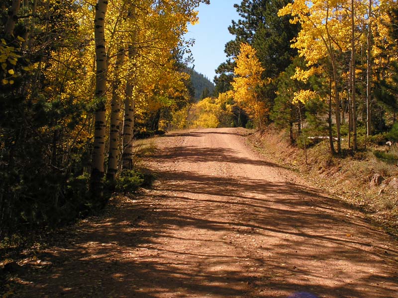 Friend Park Fall 2