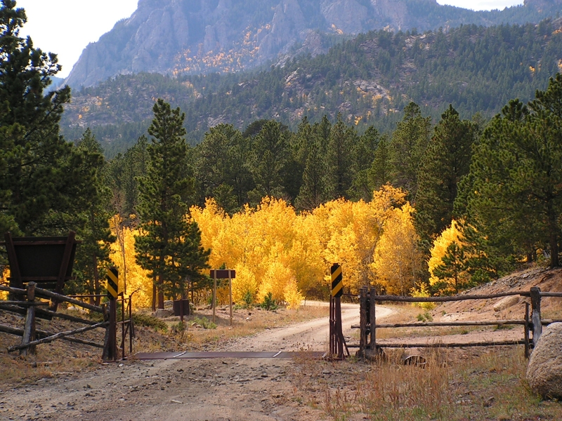 Friend Park Fall
