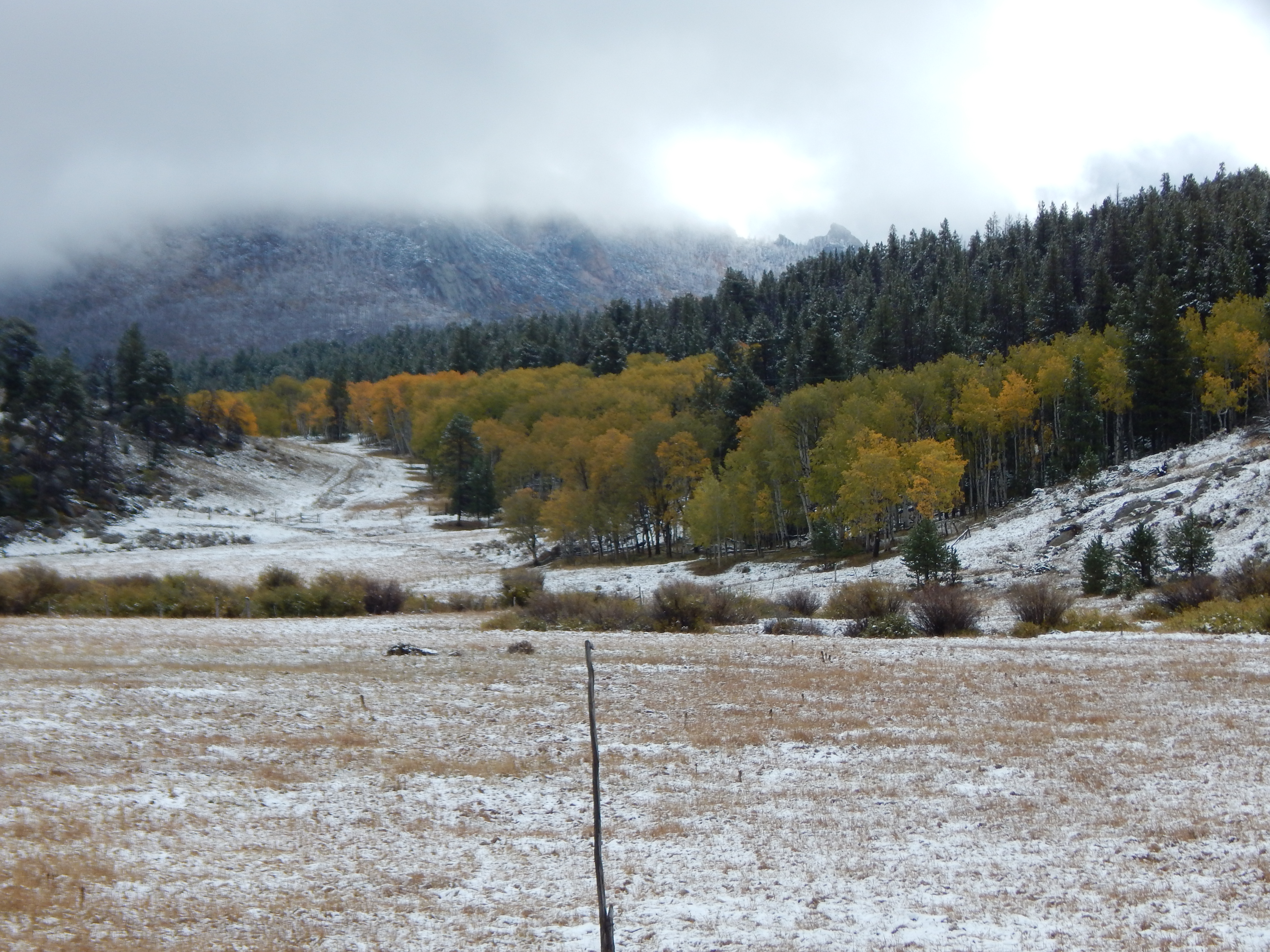 New Snow