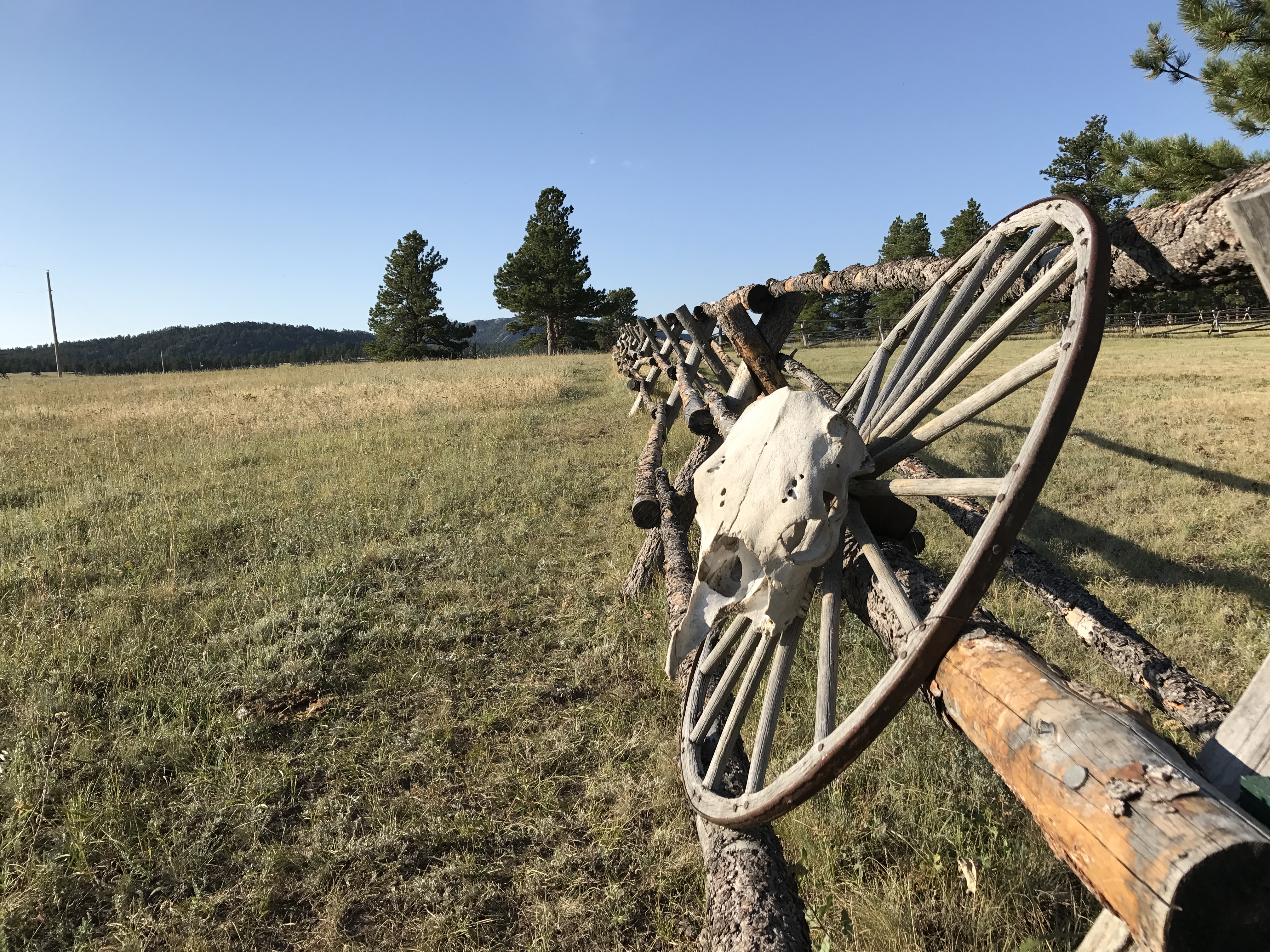 Our Fenceline