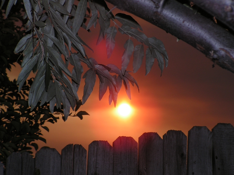 Smoke Sunset