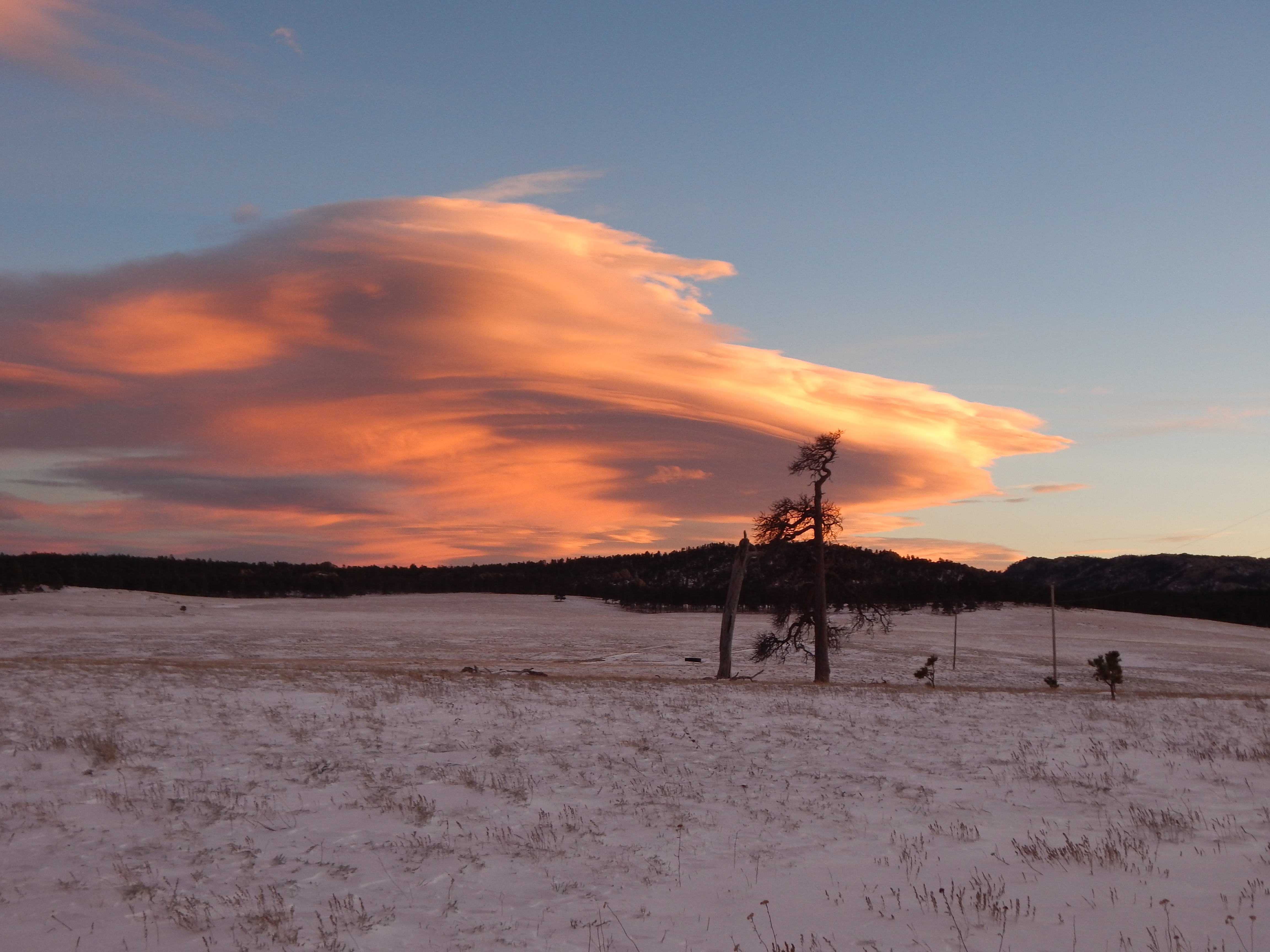 UFO or Cloud